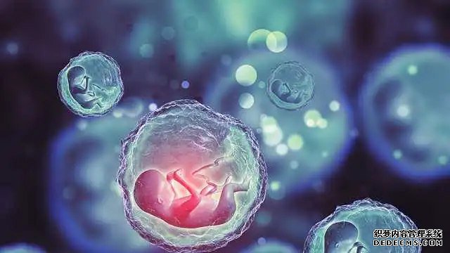 厦门找个人代孕 厦门174人工授精多少钱?要检查什么内容? ‘四维数据能看出来男女吗’