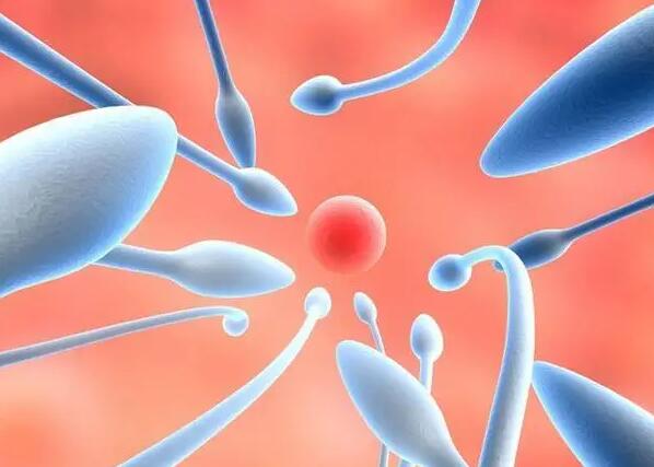 郑州试管补贴 郑州第二附属医院试管婴儿需要多少钱？怎样才能减少花销？ ‘孕囊1.8以下看男女’