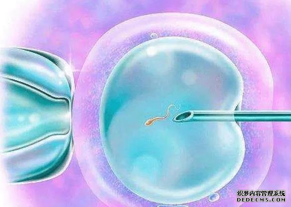 南京哪里做试管成功率高 2022南京市妇幼保健院供精试管婴儿流程一览 ‘酒精加晨尿可以检测男孩女孩吗’