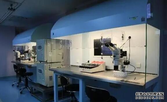 2022蚌埠试管婴儿医院排名,附成功率及费用介绍-孕囊变成胎盘的过程图解