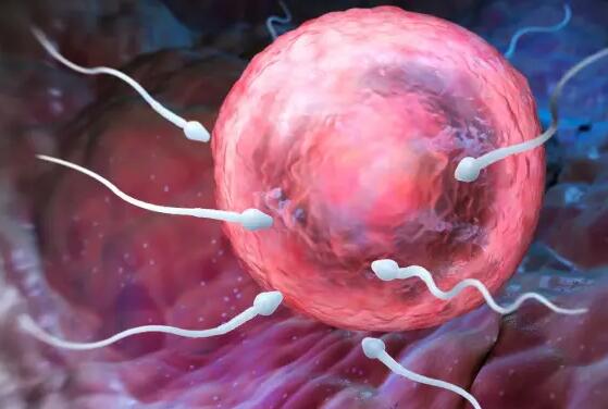 山东 试管 医院 山东三代供卵生男孩医院怎么样？ ‘11周的男宝宝b超图片’