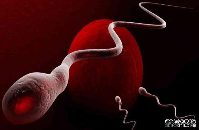 自然流产的原因一般是什么？-一般的胚胎能养囊成功吗