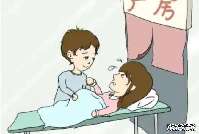 供精试管婴儿主要分为六个流程,附每个环节的费用