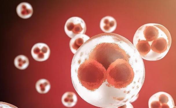 无锡借卵试管过程 锡试管婴儿各大医院费用汇总，3招省钱技巧分享 ‘四维彩超通过胎心率可以看出男女吗’