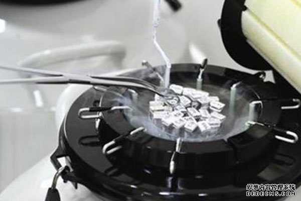 长春买卵 在长春妇产医院做一次试管婴儿要多少钱？ ‘股骨长肱骨长判断男女’