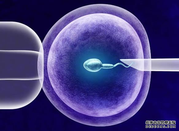 石家庄始基子宫患者做试管最知名医院排名,附2022试管费用一览表-如何从费用明细看试管婴儿冻了几管
