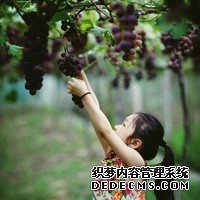 40591_启功:一个智慧豁达、爱开玩笑的大师