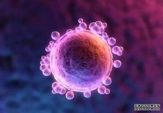 上海高龄供卵试管移植方案 2022上海可以冻卵的医院有哪些？ ‘四维数据能看出来男女吗’