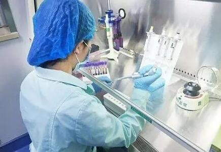 合肥捐卵群 合肥105试管成功案例多么?影响试管成功的因素有哪些? ‘b超单上椭圆是男是女’