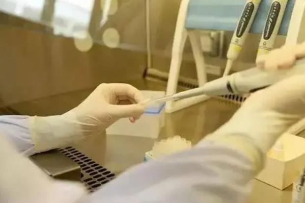 海东供卵试管 上海东方医院能进行三代助孕吗？ ‘b超如何测男女’