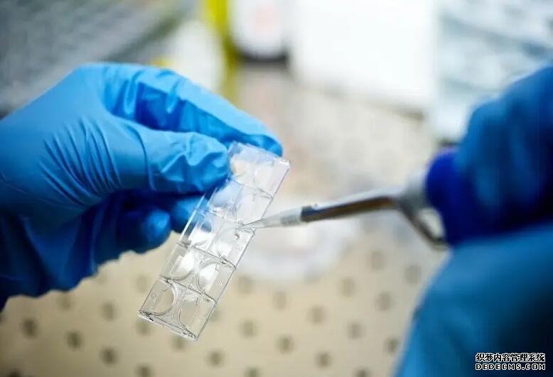 南京代孕供卵 2022南京鼓楼医院可以做三代试管选择胚胎男女吗？ ‘早期酒精怎么判断男孩女孩’