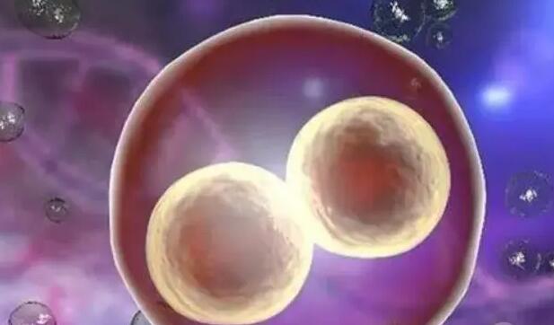 江西供卵试管 南昌供卵试管费用多少，2023江西供卵试管费用预估 ‘怀孕怎样通过胎囊看男宝女宝’