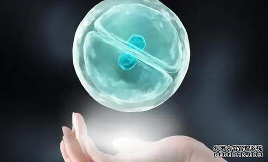 哈尔滨供卵试管过程 哈尔滨试管婴儿医院排名最好是哪些医院?如何选择医院? ‘7周孕囊看男女准确率’