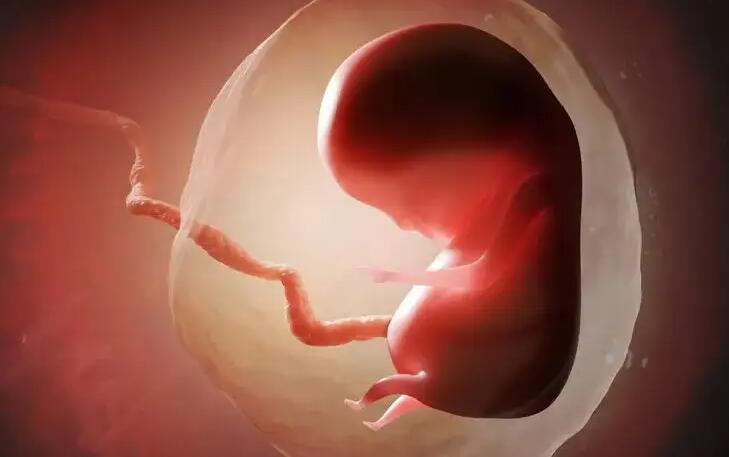 广州私立试管 广州妇幼保健院试管婴儿医生助孕成功率 ‘孕初期彩超看男孩女孩准’