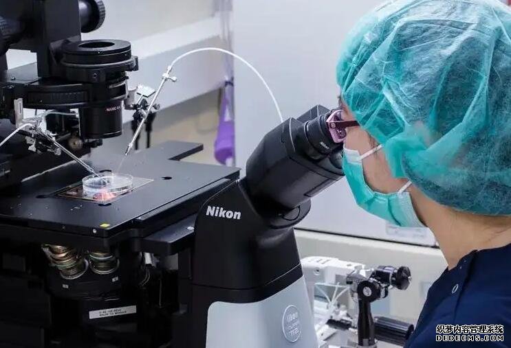 深圳合法捐卵 深圳第三代试管婴儿成功率 ‘双顶径头围腹围股骨长看男孩’