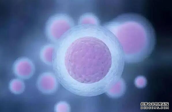 温州高端助孕机构 温州二院试管婴儿医生评价 ‘胎儿心脏彩超不配合的一般是女孩’