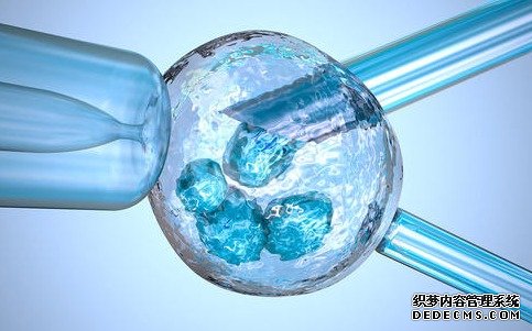 桂林181试管医院怎么样 2022广西桂林南溪山医院试管婴儿成功率高吗?附广西桂林南溪山医院试管婴儿成功率一览 ‘怀男孩的四维彩超影像图’