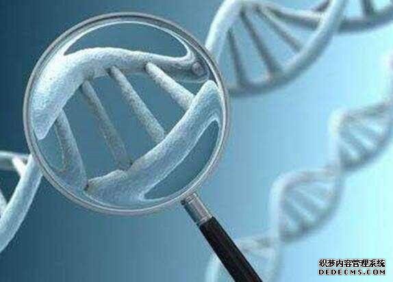 杭州三代试管助孕 杭州流动人口婚育证明办理材料 ‘17周的彩超单子怎么看男女’