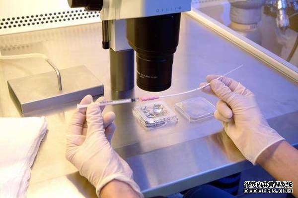 深圳♧◊微信 深圳三代试管包生男孩价格多少？ ‘八个月做b超看到小鸡了生下来是女’