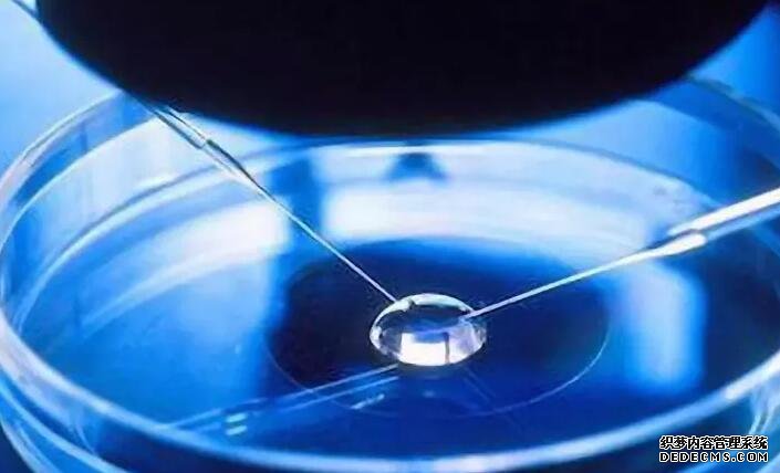 北京借卵途径 北京三医院试管费用是多少？(北京三医院试管费用) ‘四维单上以F开头为女以M开头为男准吗？’