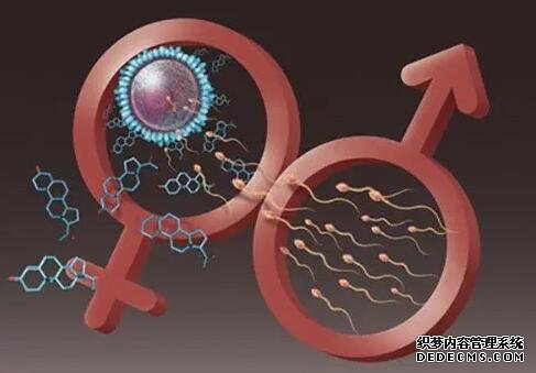 2022广州妇幼保健院包生男孩价格多少钱？