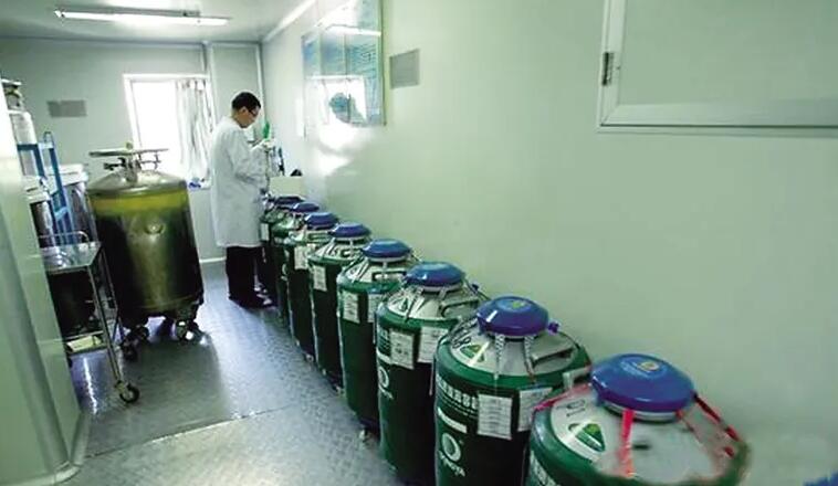 南阳试管供卵 南阳市试管婴儿医院一览 ‘nt值0.7是男孩还是女孩’