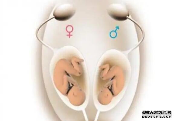 武汉代孕赔偿 2022武汉私立妇产医院试管婴儿费用明细 ‘18周做b超是男宝30周做b超是女宝’