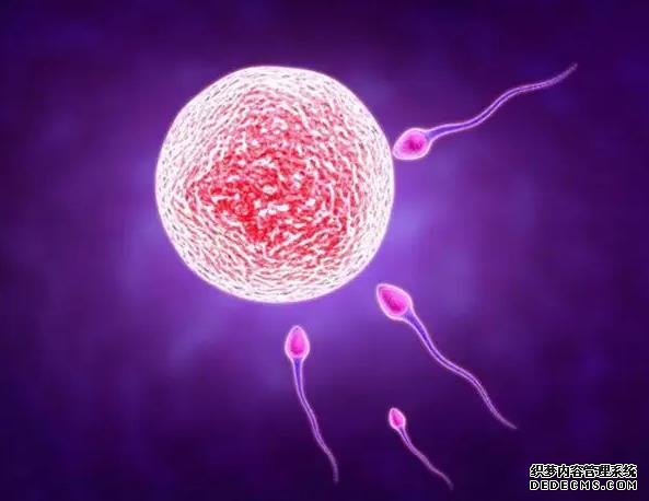 昆明做供卵 云南昆明医科大学第一附属医院试管婴儿医生有哪些 ‘胎儿nt是男孩子的b超图’