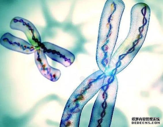 武汉代孕网哪个正规 武汉协和医院做试管婴儿费用多少? ‘五个月怀女孩的标准特征’