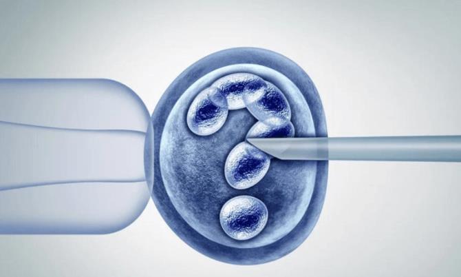 临沂供卵试管 临沂人民医院试管流程是什么？这些你知道吗？ ‘胎儿3个月双顶径看男女’