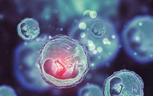 沈阳妇幼试管 沈阳204试管成功率多少？你对成功率真的了解吗？ ‘孕10周b超可以看男女吗’