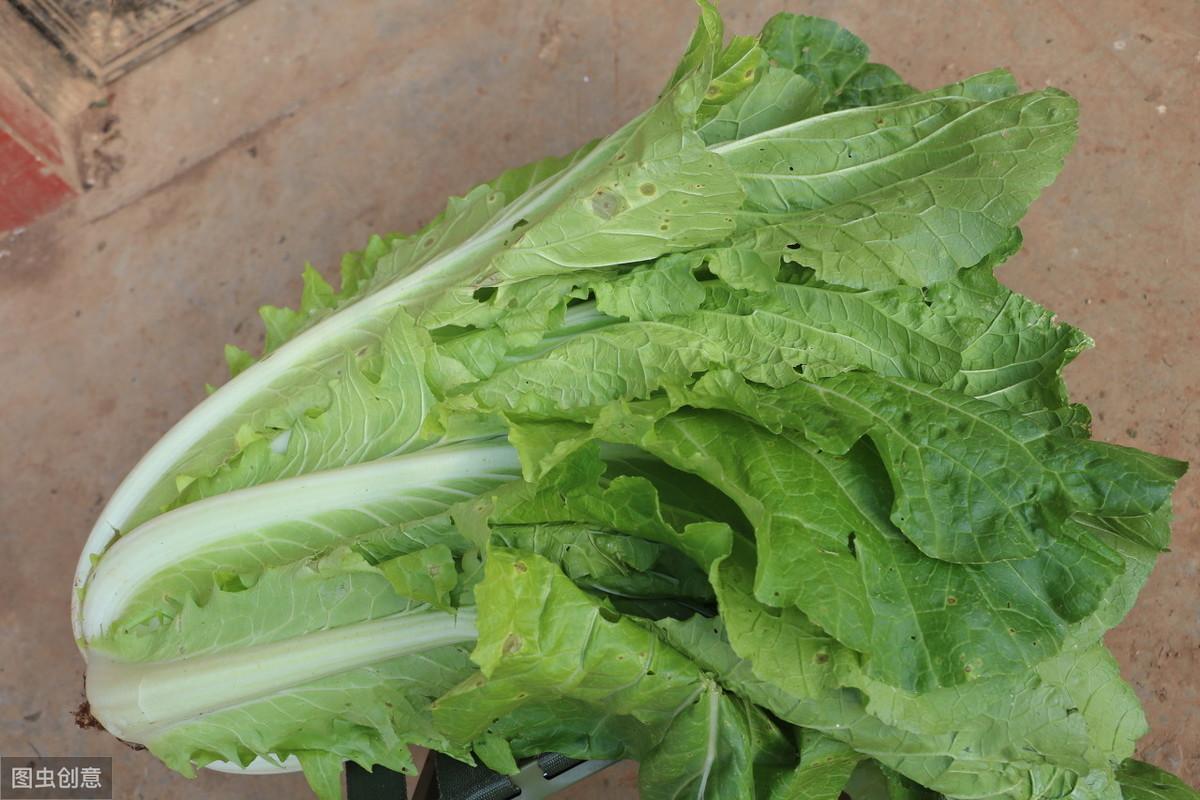 生活中的新生儿窒息因有哪些?不合理的盖被导致宝宝窒息最常见