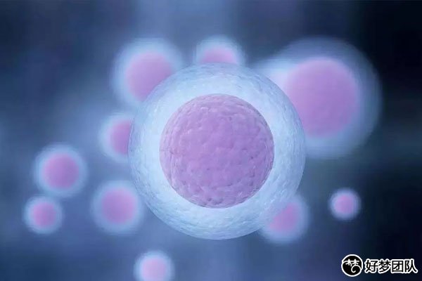 助孕专科联盟来助孕,让患者少走冤枉路