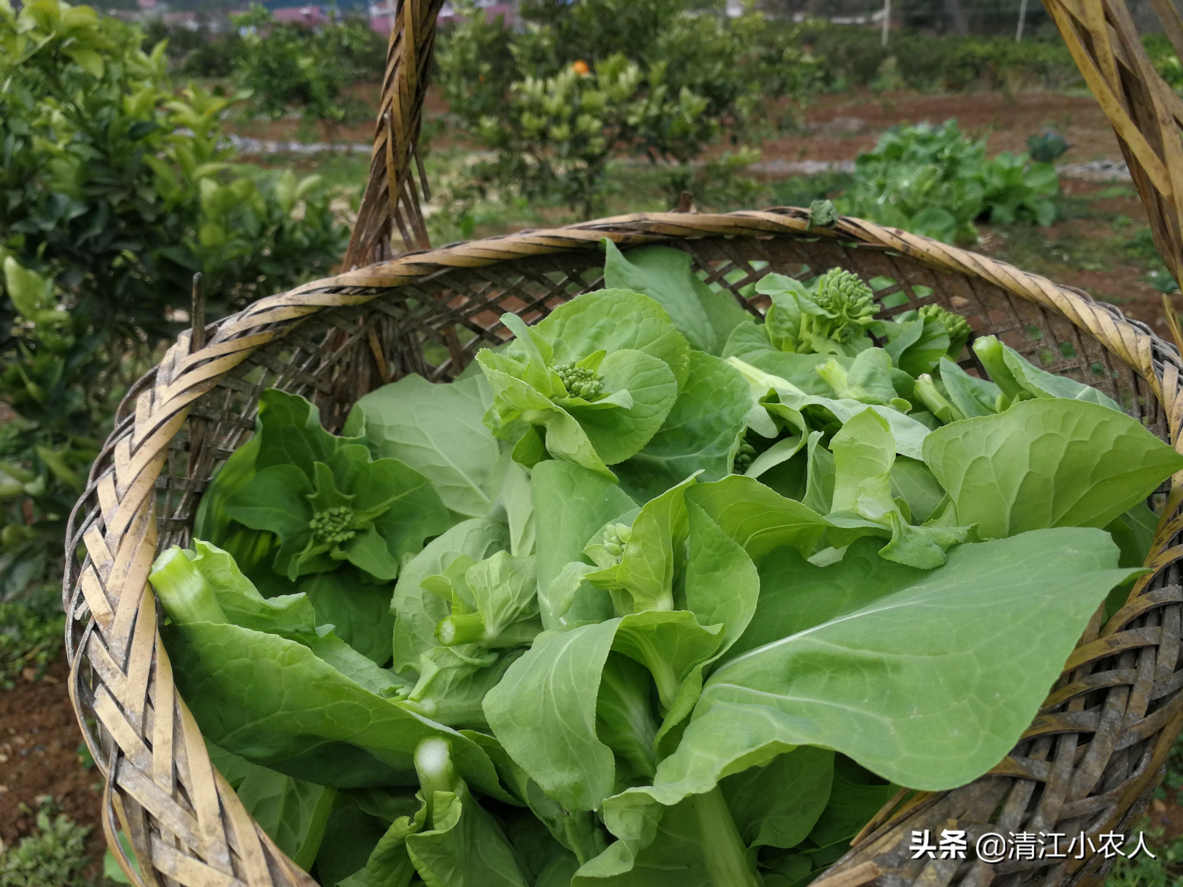 婴儿吐奶因及处理