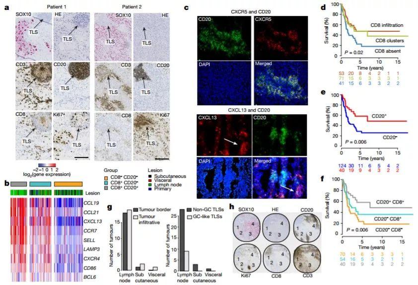 宝宝神经发育缓慢?快来试试这些小游戏,助力宝宝神经反应发展