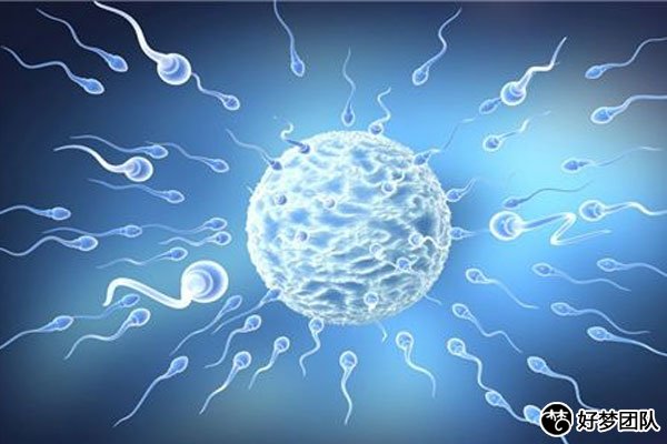 哈萨克斯坦试管婴儿