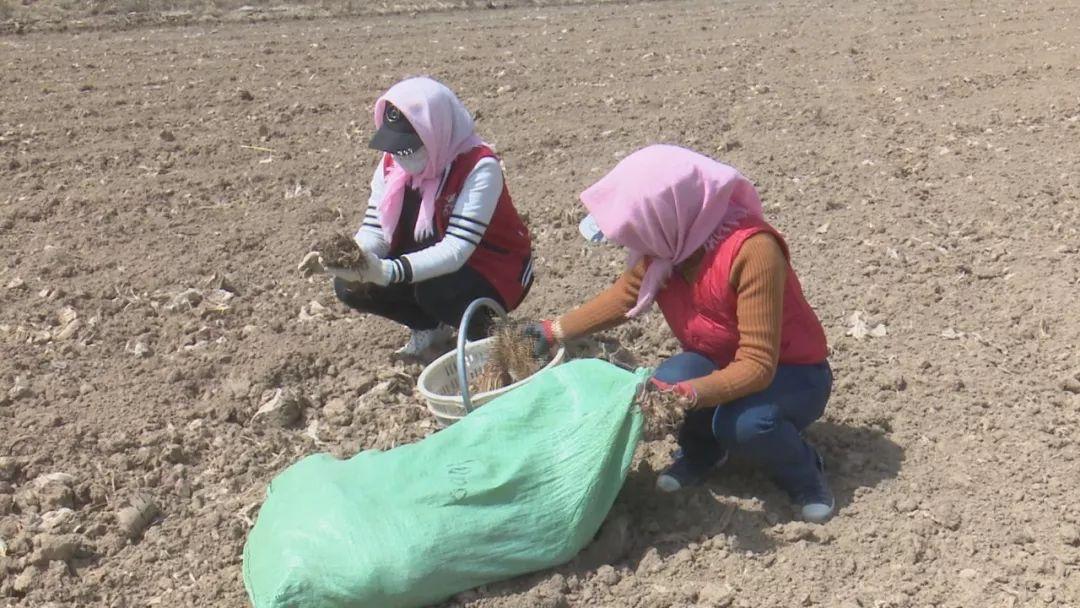 孩子吐字不清并非正常现象