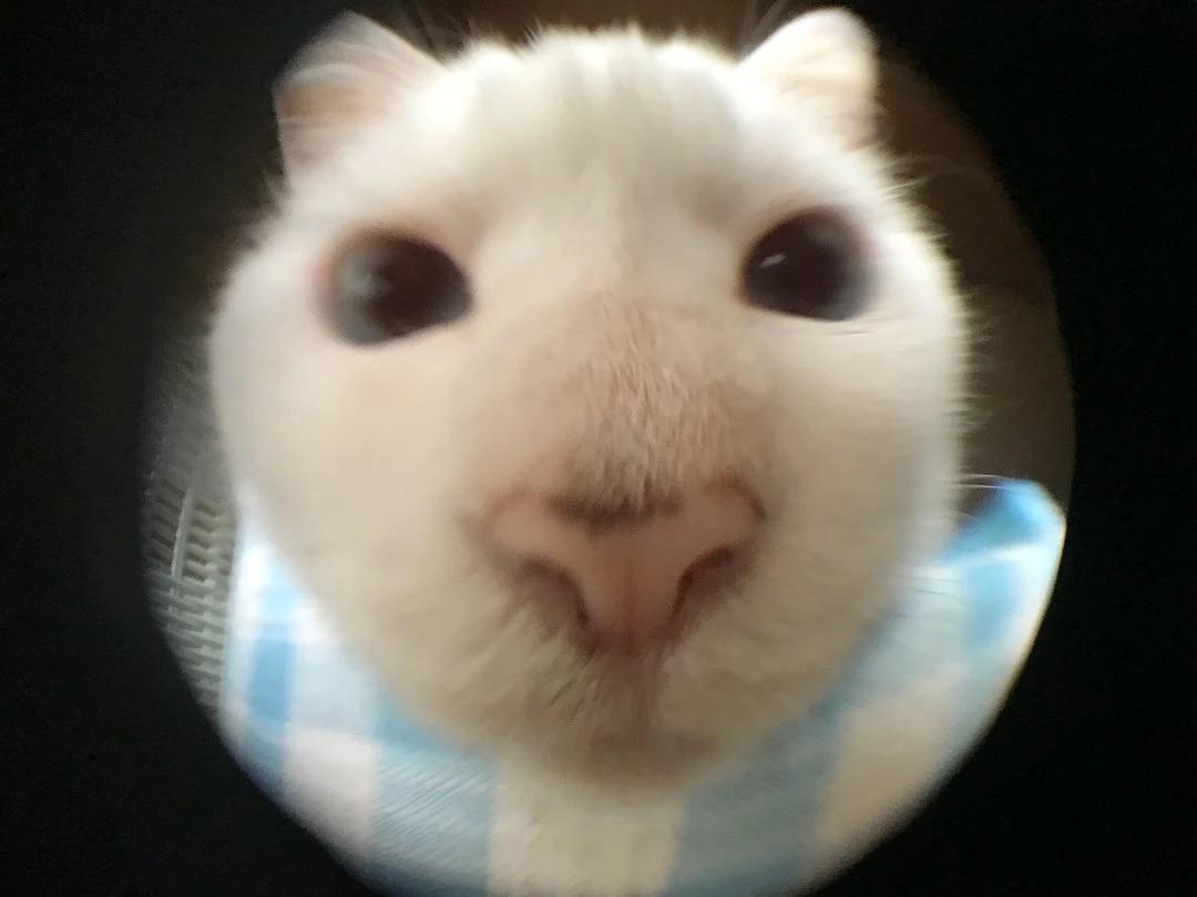 月宝宝如何预防流感？6个月宝宝打疫苗的问题解答