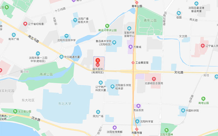 中国医科大学附属盛京医院地址