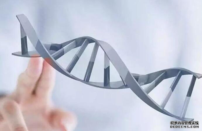 2023三代试管生男生女费用介绍,及影响成功率的因素