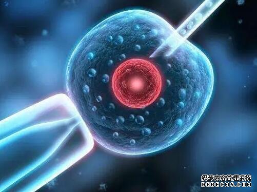 2023三代试管生男生女费用介绍,及影响成功率的因素