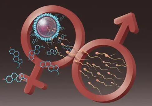 云南省第一人民医院三代成功率 云南做供卵试管最受欢迎医院排名 ‘b超写的哪句有可能是男孩’