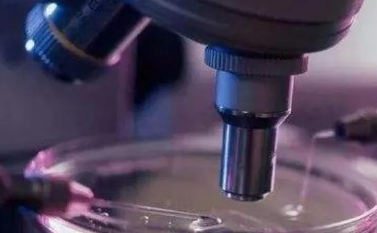 成都做试管成功率最高的医院有哪些?