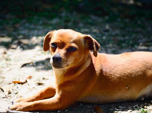 河南省人民医院和郑州第三附属医院哪个做试管成功率高 想在郑州做试管婴儿需要满足什么条件? ‘b超形状看男女’