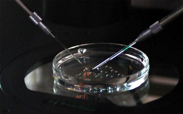 郑大二附院试管婴儿成功率