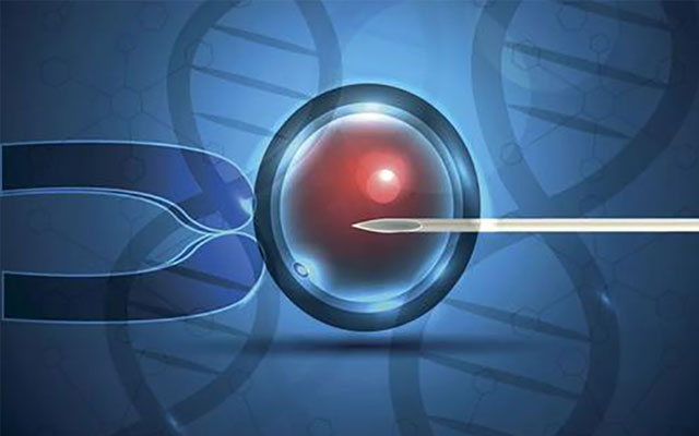 提升郑大一附院试管婴儿成功率的条件