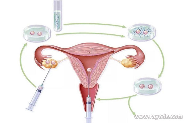 贺美奇的副作用