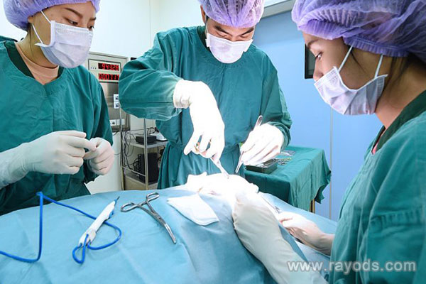 某试管医院正在进行手术的医生